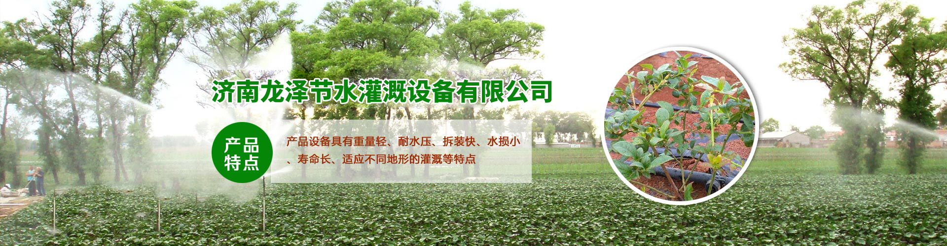 實(shí)干派管理團(tuán)隊(duì)